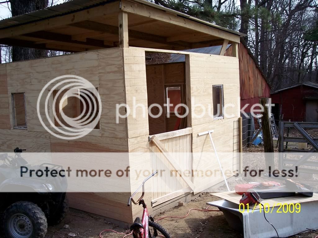 Due Jan 20th - Goats