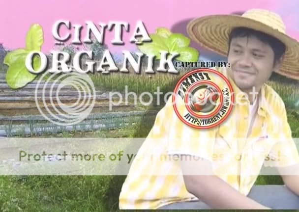 Cinta Organik 2010 SDTV-DiMENSi