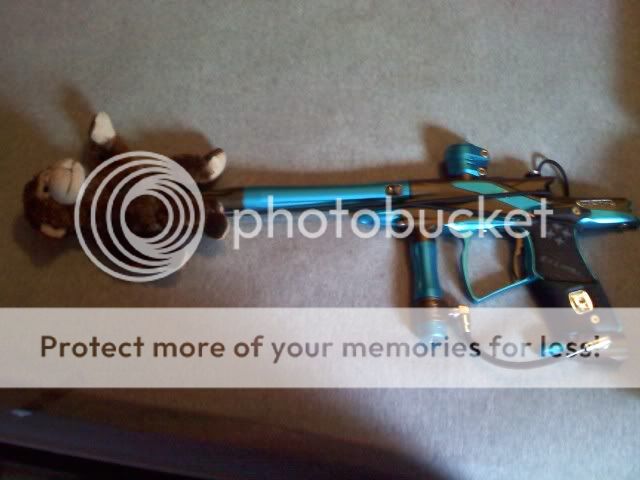 Posted Image