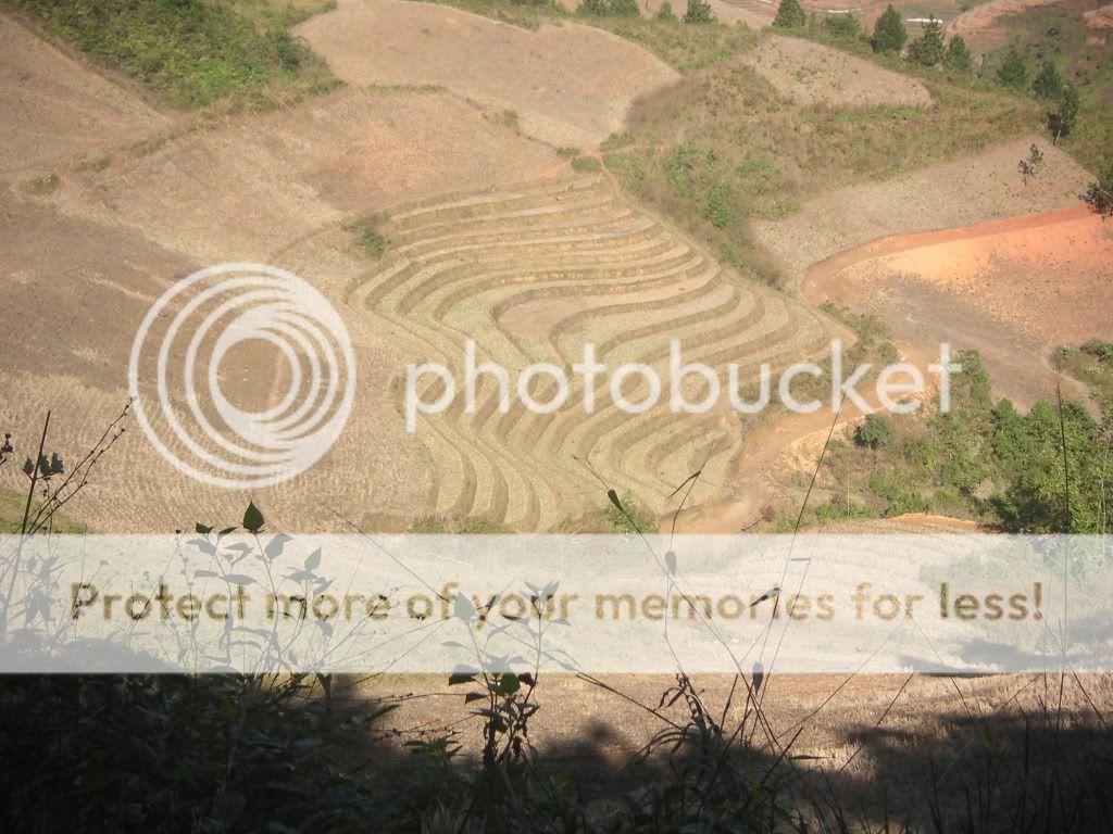PICT0760.jpg