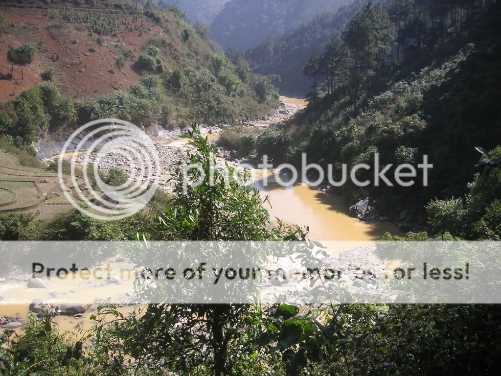 PICT0797.jpg