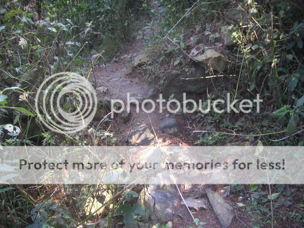 PICT0803.jpg