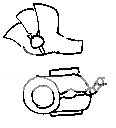 CAPPara3.png