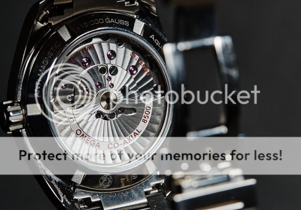 IMAGE: http://i360.photobucket.com/albums/oo48/elay612/YBG_1644_zpszzzwjzcs.jpg