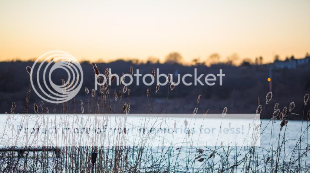 IMAGE: http://i360.photobucket.com/albums/oo48/elay612/YBG_8889_zps844eee49.jpg