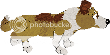 photo a4_zpsb0706f31.png