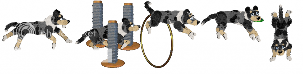 photo montyODxdec12_zps834d8a5e.png