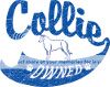 photo collie.jpg