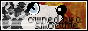photo scbc1.png