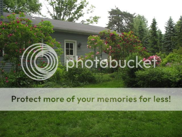 Explorer Rows photo IMG_1583.jpg